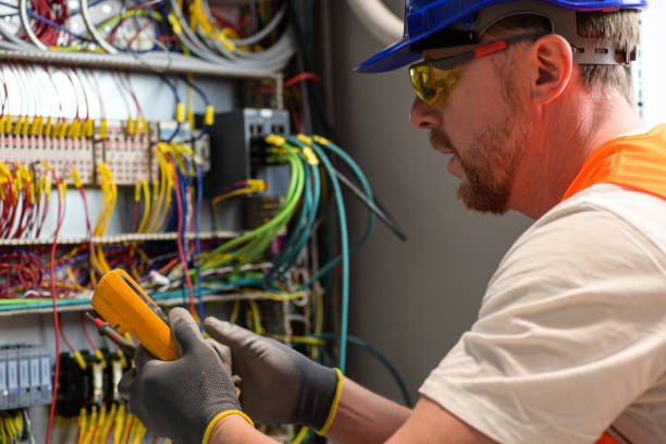 Best Electric Panel Repair  in Manana, HI